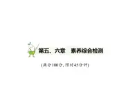 初中地理 人教版（2024）七年級上冊第六章 發(fā)展與合作 試題講解課件有答案02-第五、六章　素養(yǎng)綜合檢測