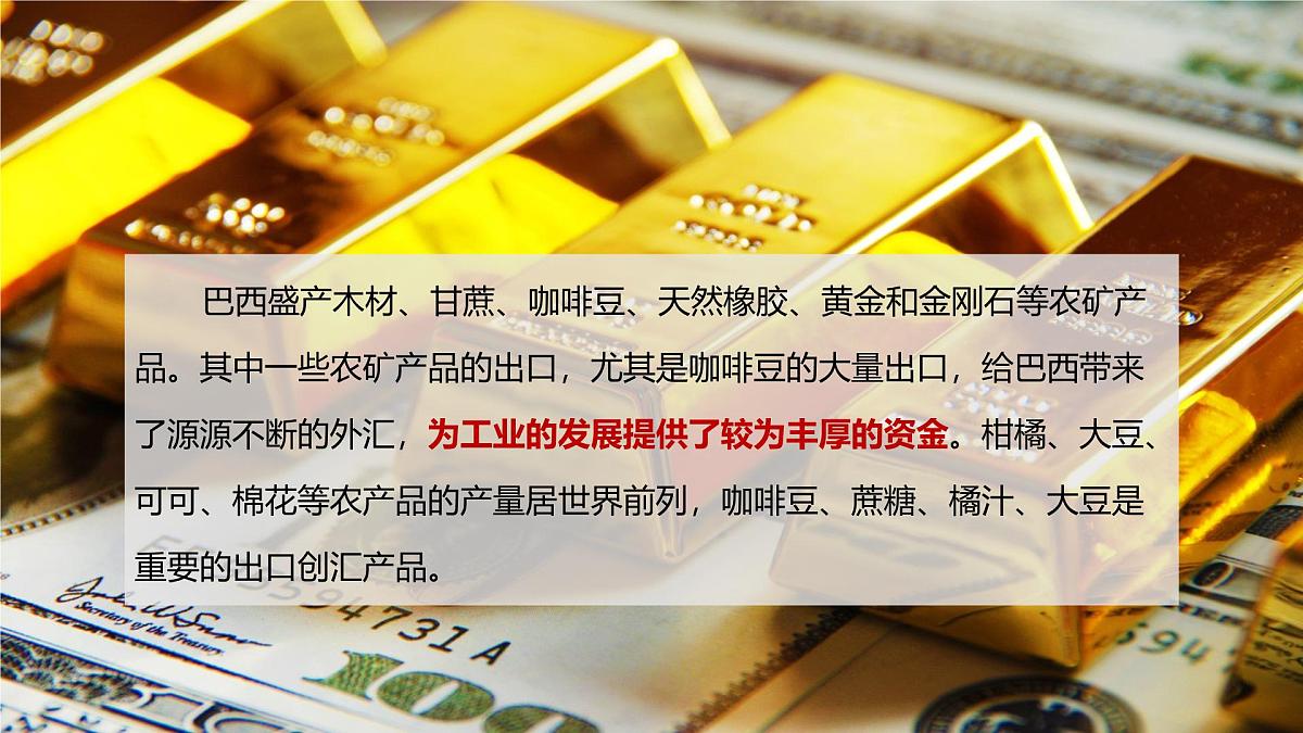 人教版地理七年级下册10.2《巴西》(第二课时课件第2页