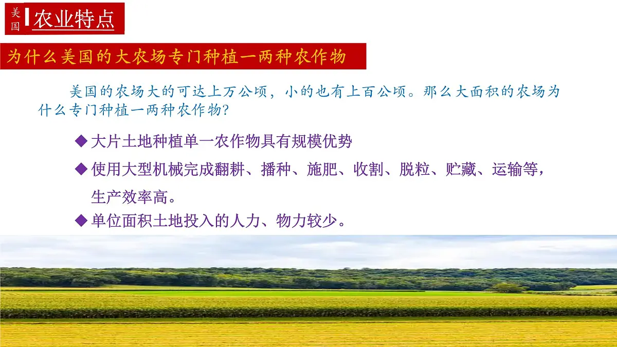 10.1美国(课件)(第2课时)2025学年七年级地理同步教学课件+教学设计(人教版2024)第8页