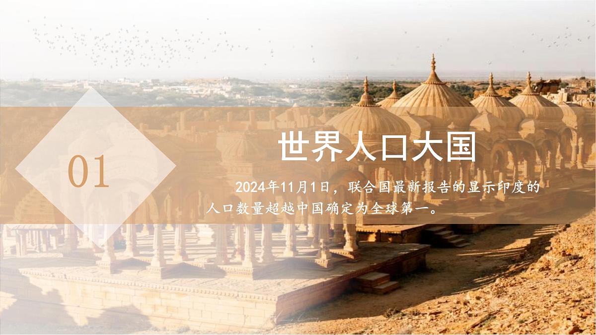 8.2 印度(第二课时)课件 地理商务星球版(2024)七年级下册第八章第二节教案第5页