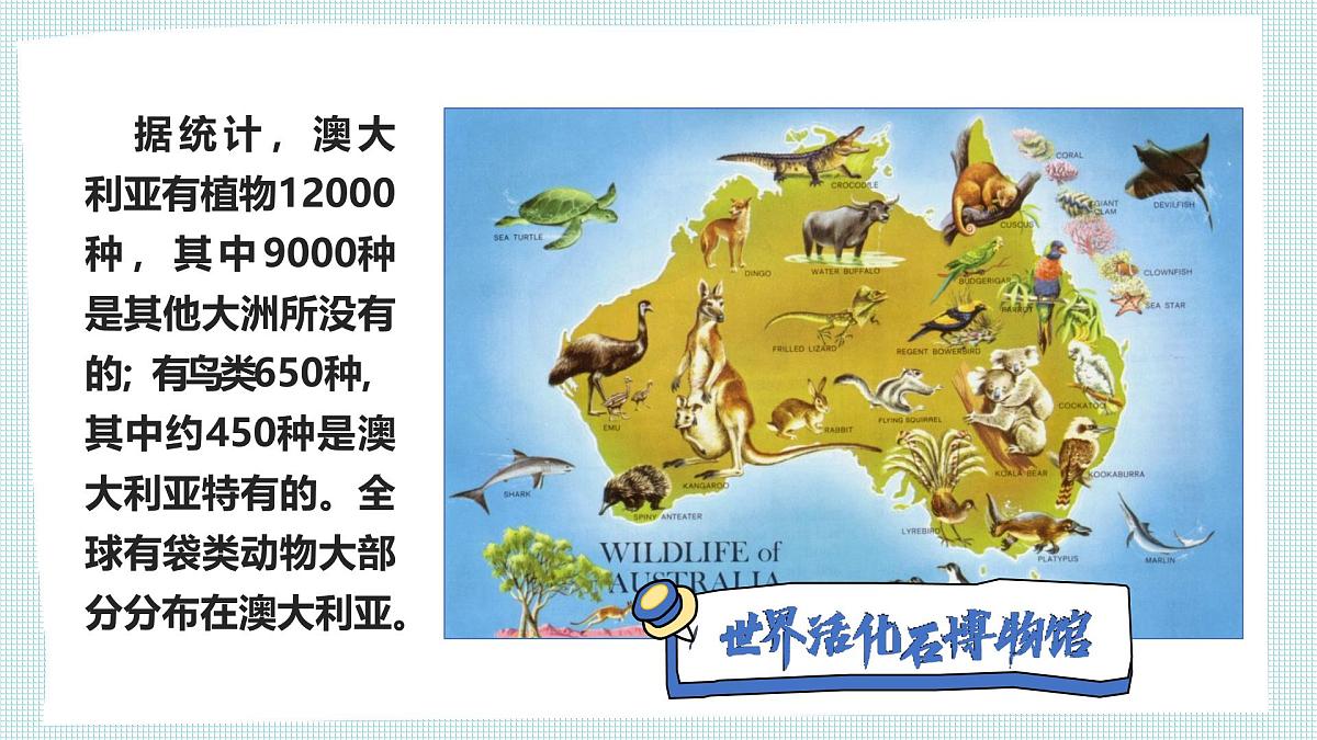 人教版七年级地理下册9.4《澳大利亚》(课件)第4页
