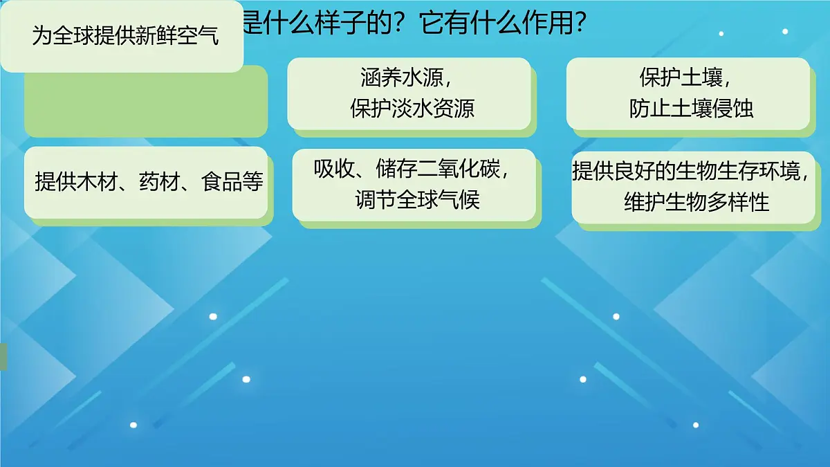 人教版七年级地理下册10.2《巴西》课件第6页