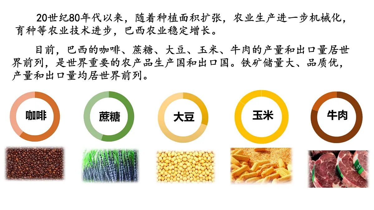 初中 地理 人教版(2024)七年级下册10.2 巴西(第二课时) 课件第6页