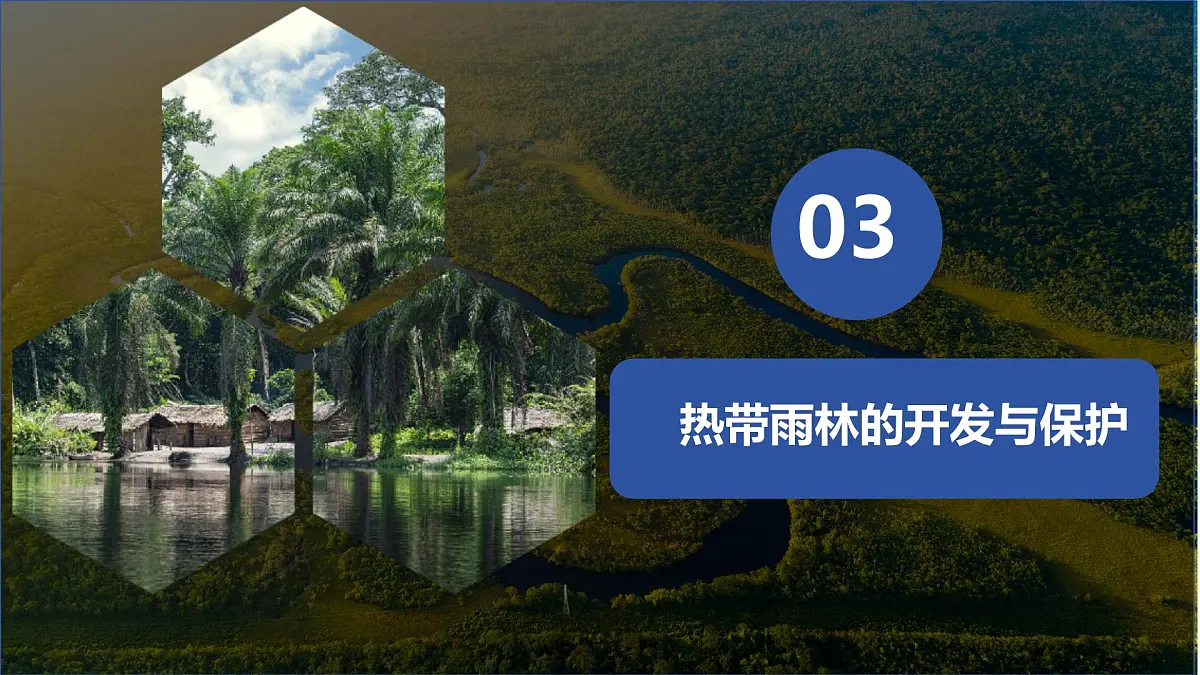 初中 地理 人教版(2024)七年级下册10.2 巴西(第二课时) 课件第5页
