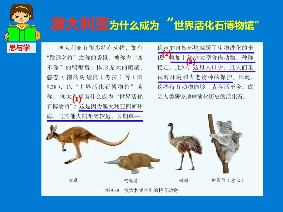 初中 地理 人教版(2024)七年级下册9.4 澳大利亚 课件第2页