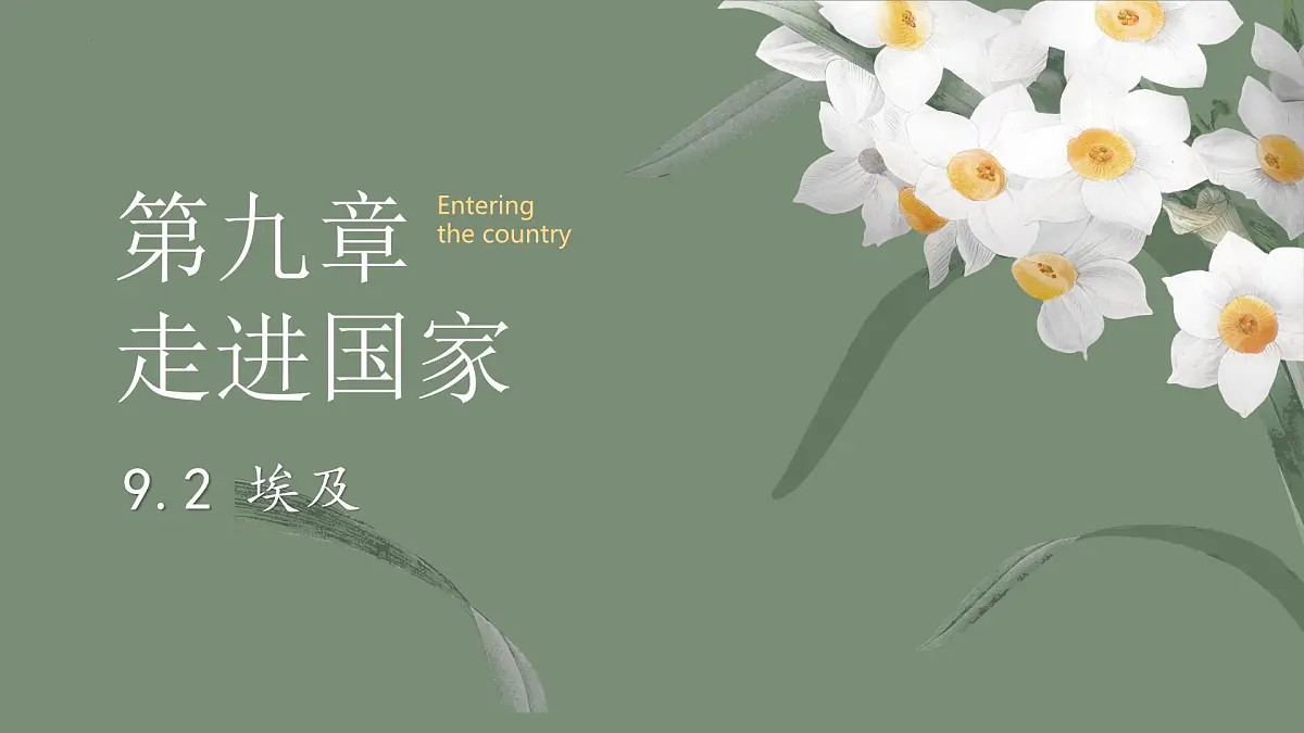 初中 地理 湘教版(2024)七年级下册9.2 埃及 课件第2页