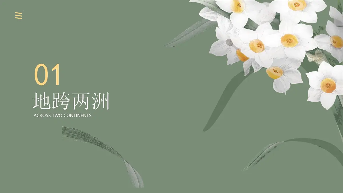 初中 地理 湘教版(2024)七年级下册9.2 埃及 课件第5页