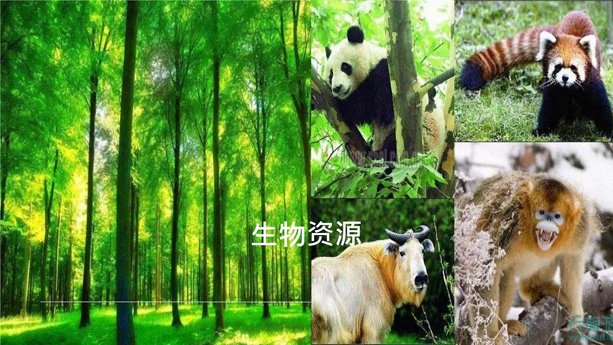 初中 地理 中图版(2024)七年级下册5.1 水资源 课件第8页