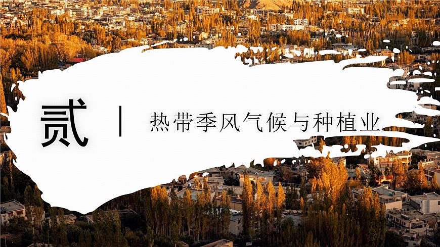 8.2.2 印度(教学课件)——初中地理商务星球版(2024)七年级下册第5页