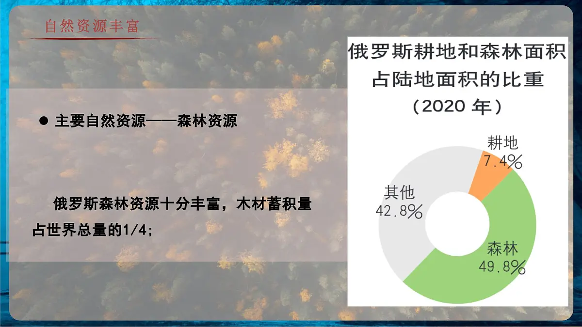 8.3.2 俄罗斯(教学课件)——初中地理商务星球版(2024)七年级下册第7页