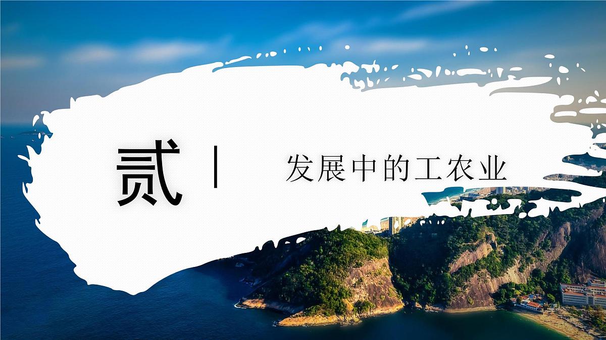 8.6.2 巴西(教学课件)——初中地理商务星球版(2024)七年级下册第5页