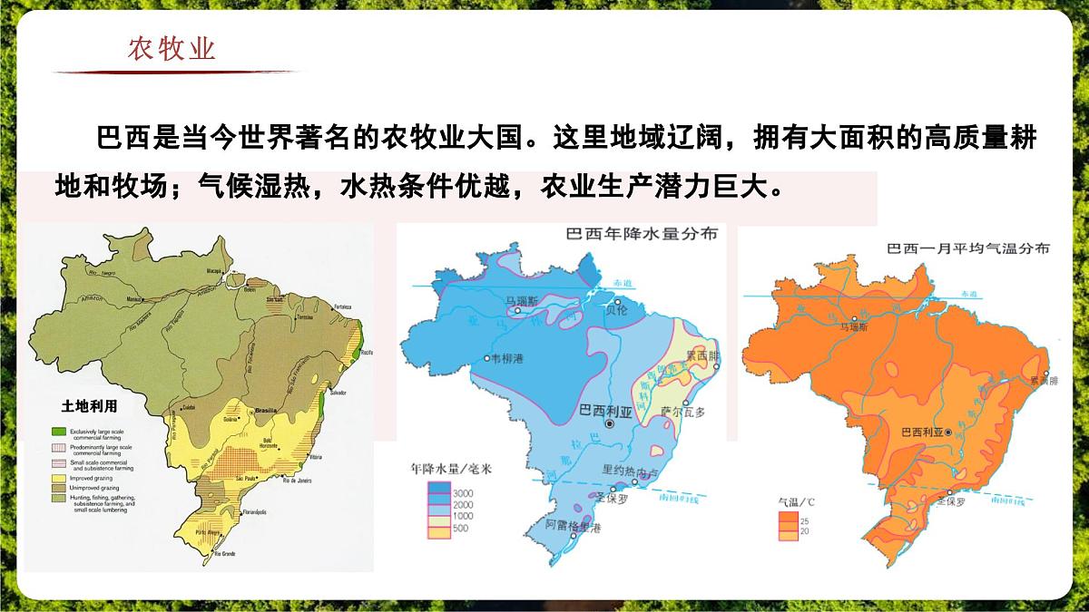 8.6.2 巴西(教学课件)——初中地理商务星球版(2024)七年级下册第6页