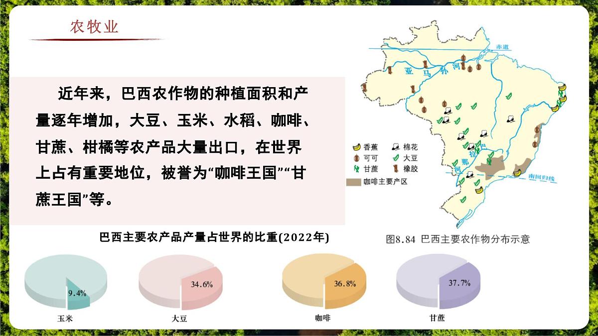 8.6.2 巴西(教学课件)——初中地理商务星球版(2024)七年级下册第7页