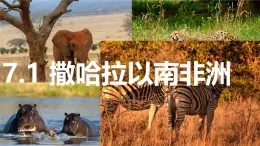 初中 地理 粵教粵人版（2024）七年級下冊7.1 撒哈拉以南非洲 課件