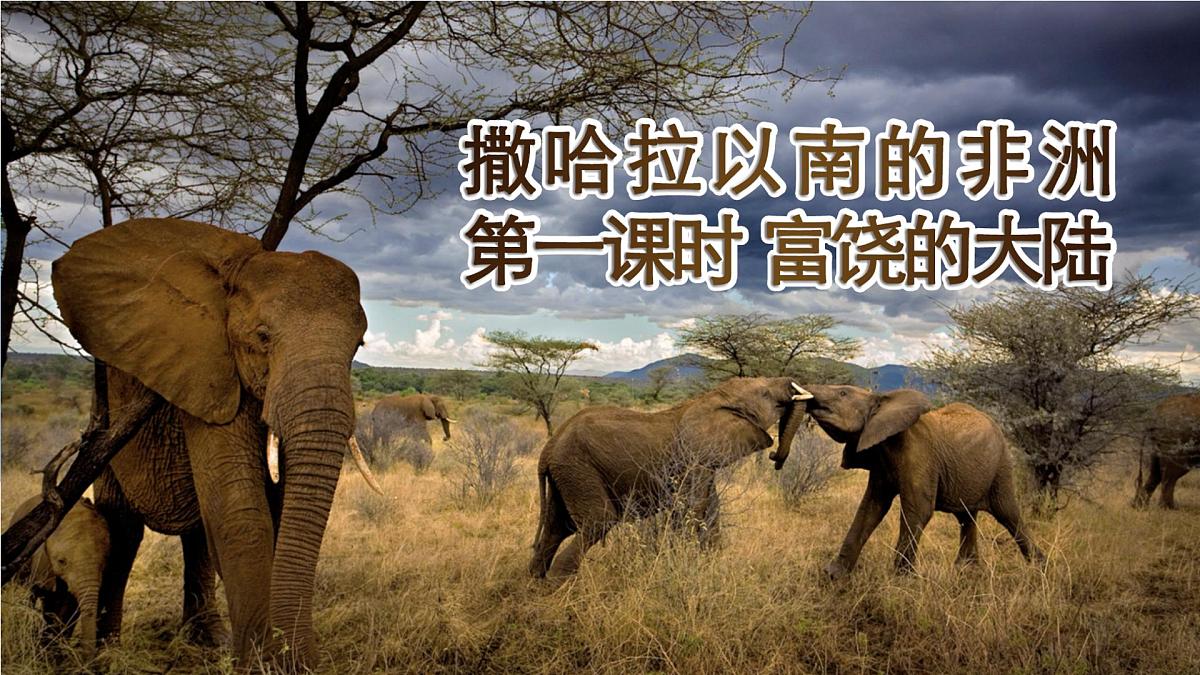 初中 地理 粤教粤人版(2024)七年级下册7.1 撒哈拉以南非洲第一课时 课件第1页