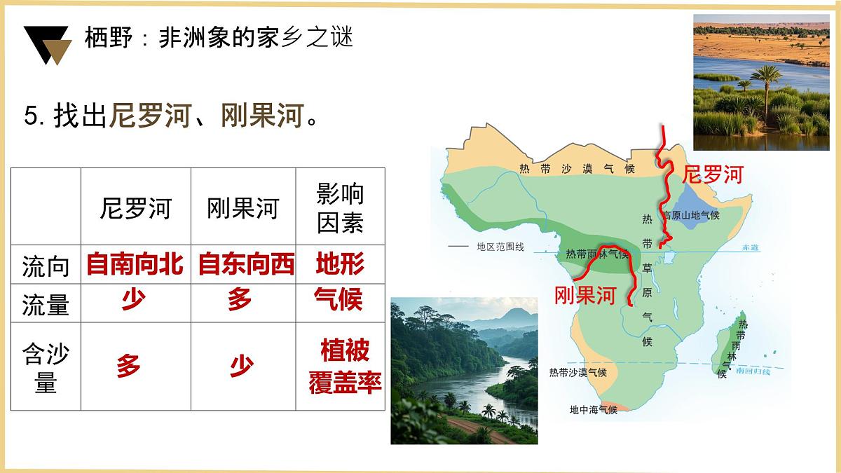 初中 地理 粤教粤人版(2024)七年级下册7.1 撒哈拉以南非洲第一课时 课件第6页