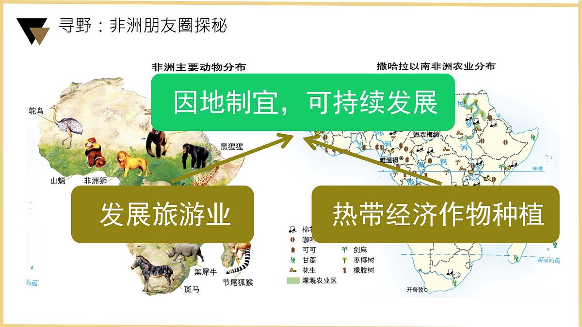 初中 地理 粤教粤人版(2024)七年级下册7.1 撒哈拉以南非洲第一课时 课件第8页