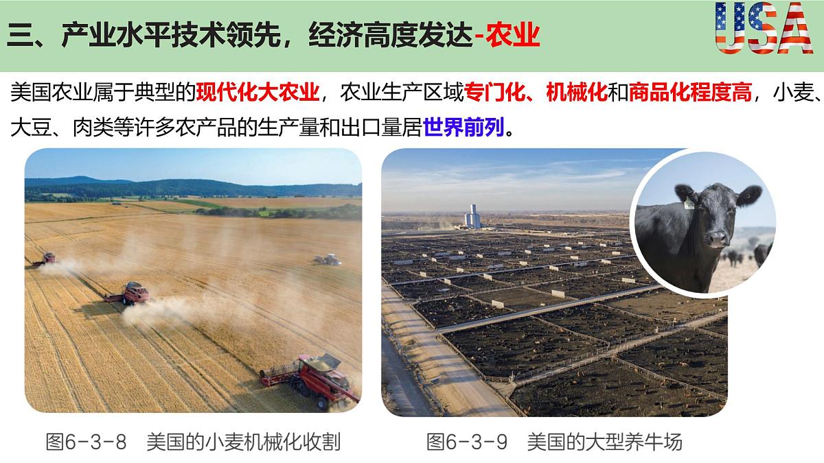 初中 地理 粤教粤人版(2024)七年级下册6.3 美国 课件第5页
