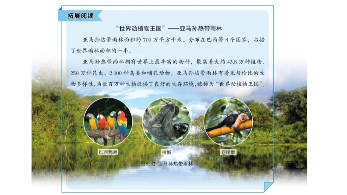 初中 地理 商务星球版(2024)七年级下册8.6 巴西 课件第7页