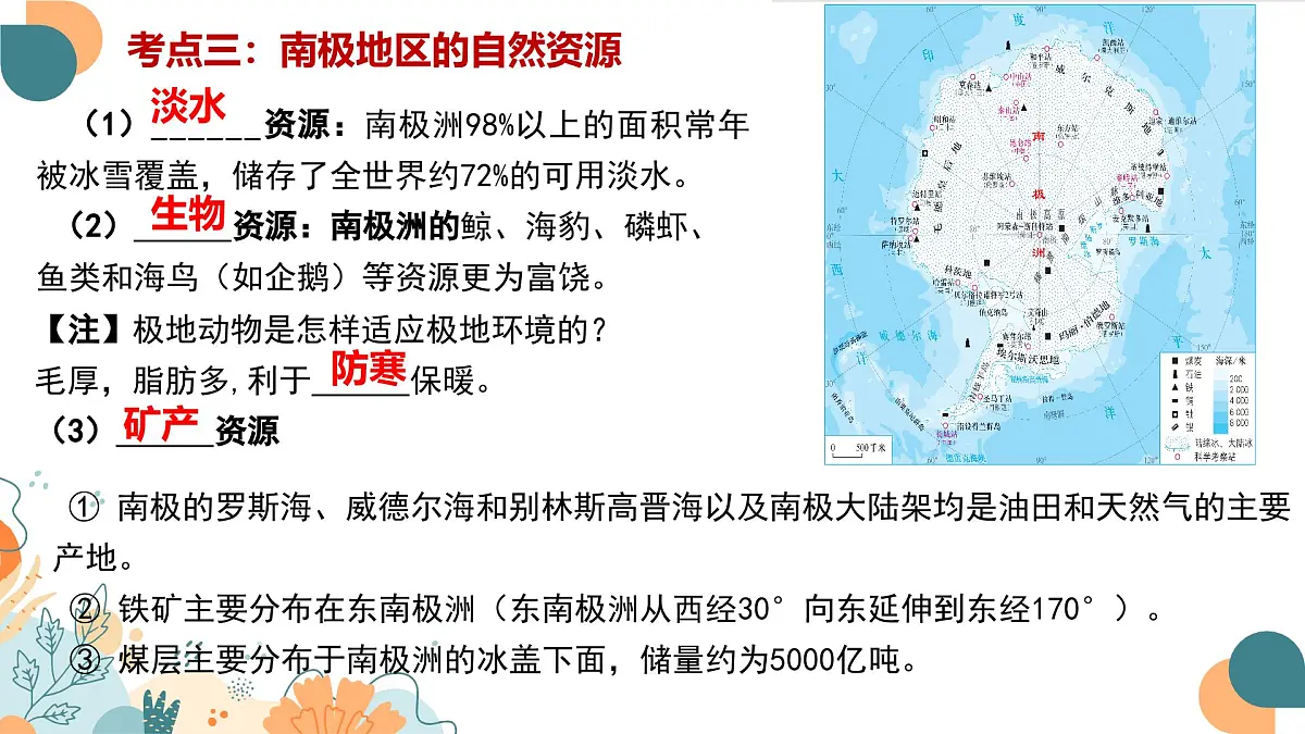 2024-2025学年七年级地理下学期期末复习(人教版2024)第十一章 极地地区(复习课件)PPT第5页