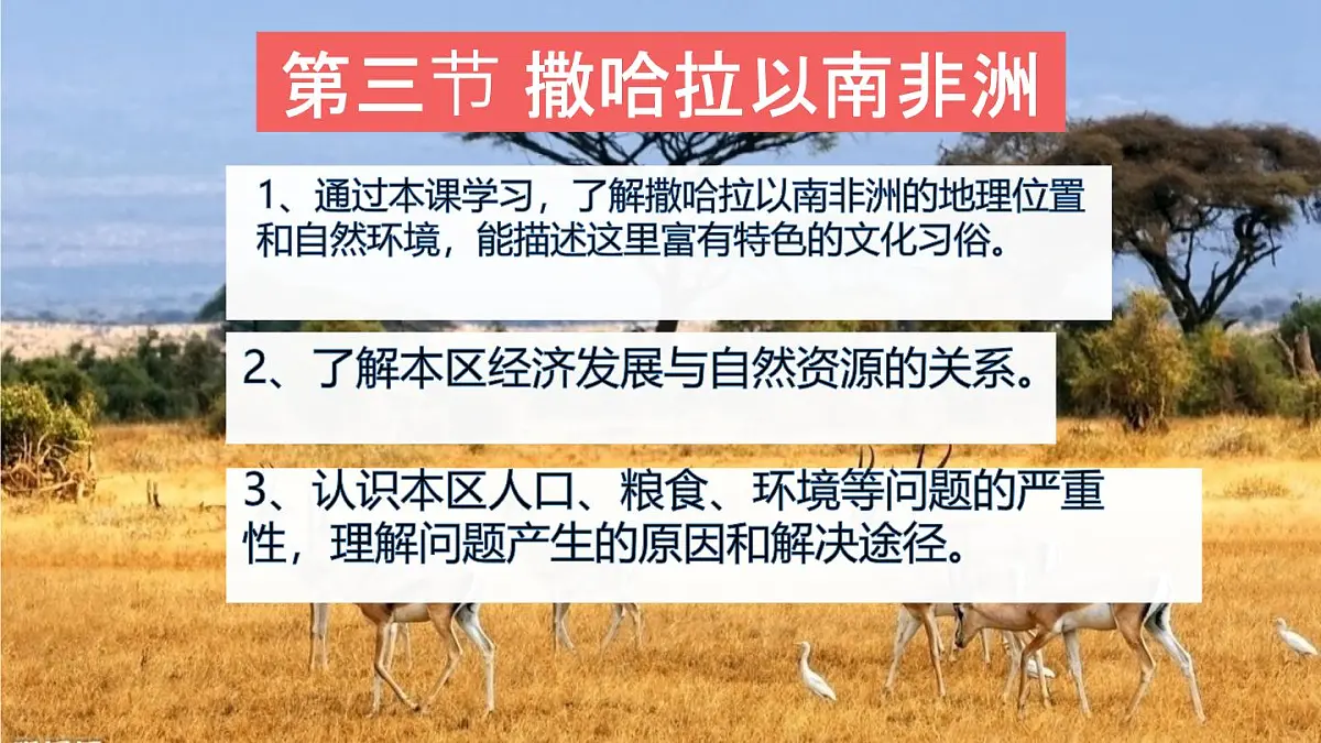 2024-2025学年七年级地理下册(商务星球版2024)7.4 撒哈拉以南非洲 课件第4页