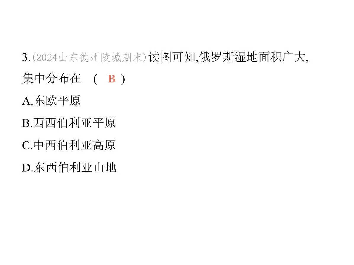 2024-2025学年七年级地理下册(商务星球版2024)8.3俄罗斯习题课件第8页