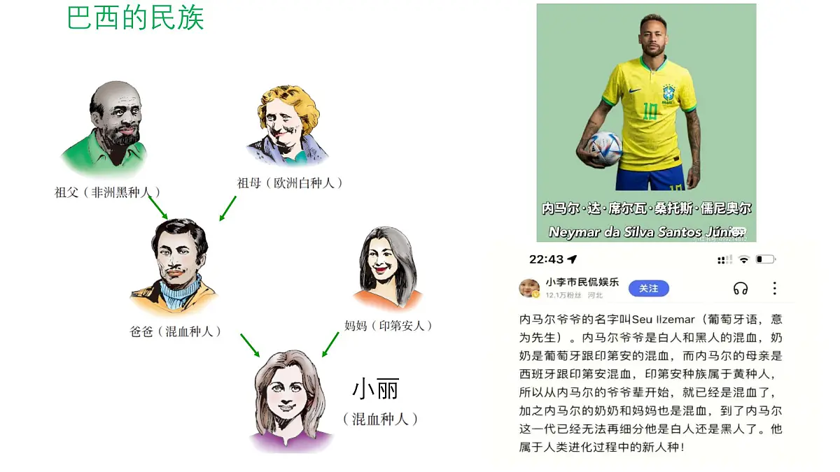 2024-2025学年七年级地理下册(商务星球版2024)8.6巴西 课件第3页
