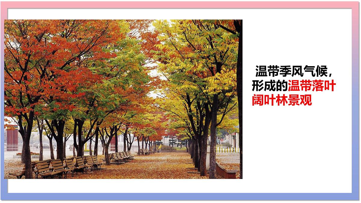 湘教版(2024年)地理七年级上册 5.4 世界主要气候类型 第二课时 课件第5页