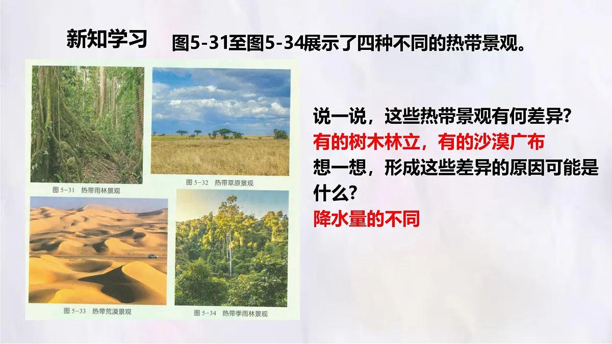 湘教版(2024年)地理七年级上册 5.4 世界主要气候类型——热带的气候类型、亚热带的气候类型 课件第3页