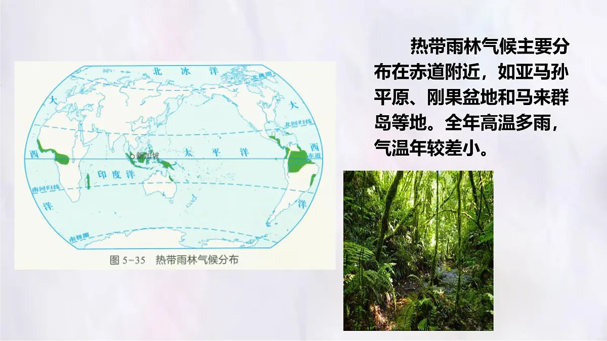 湘教版(2024年)地理七年级上册 5.4 世界主要气候类型——热带的气候类型、亚热带的气候类型 课件第6页