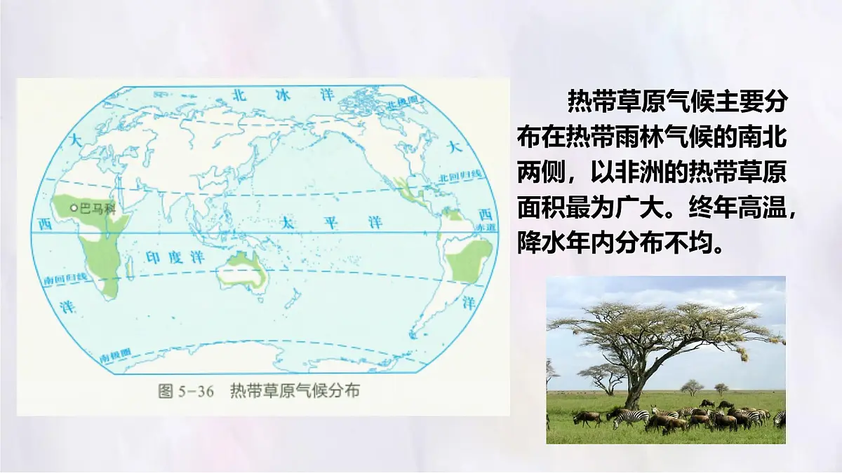 湘教版(2024年)地理七年级上册 5.4 世界主要气候类型——热带的气候类型、亚热带的气候类型 课件第8页