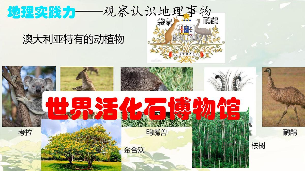 初中地理人教版(2024)七年级下册9.4 澳大利亚 课件第5页