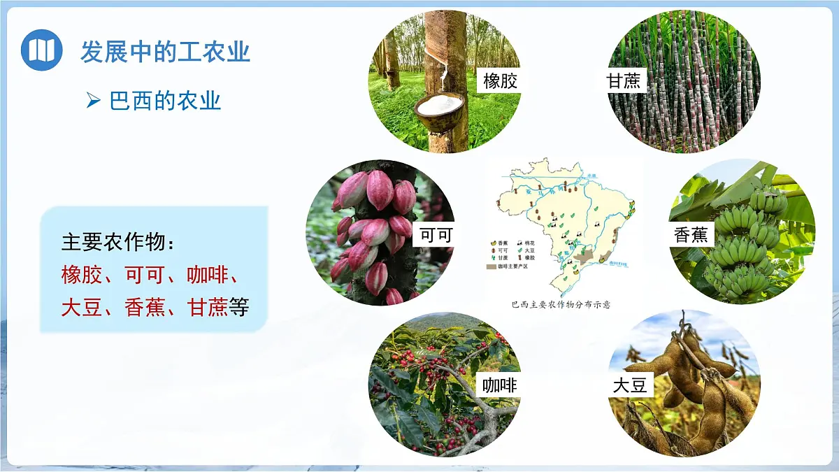 第六节 巴西(第2课时)课件 地理商务星球版(2024)七年级下册第八章第5页