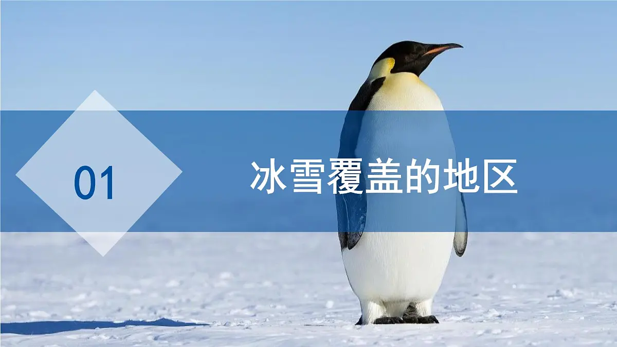 第十一章 极地地区 课件 地理人教版(2024)七年级下册第4页