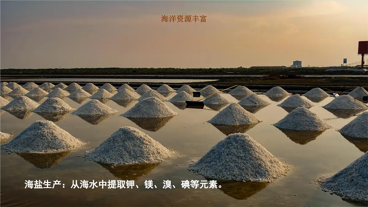 3.4.1 海洋资源(教学课件)——初中地理人教版(2024)八年级上册第8页