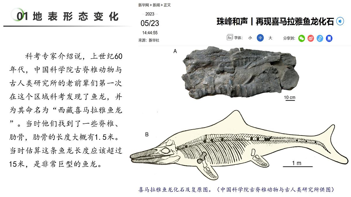 3.3 海陆变迁(教学课件)第6页