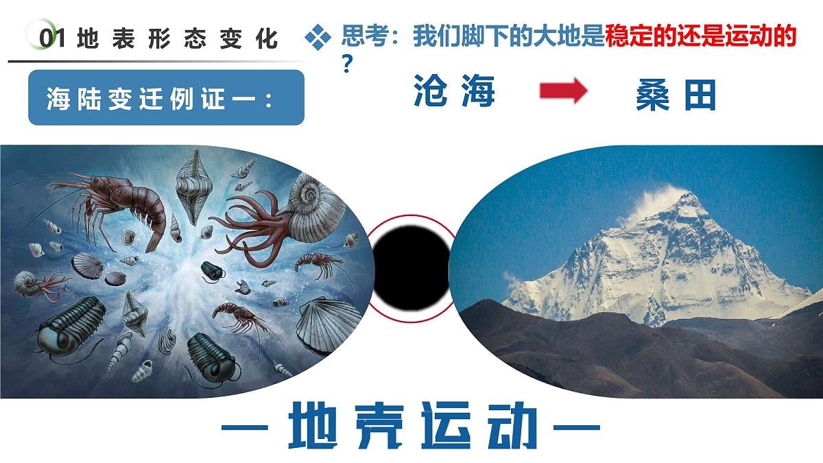 3.3 海陆变迁(教学课件)第8页