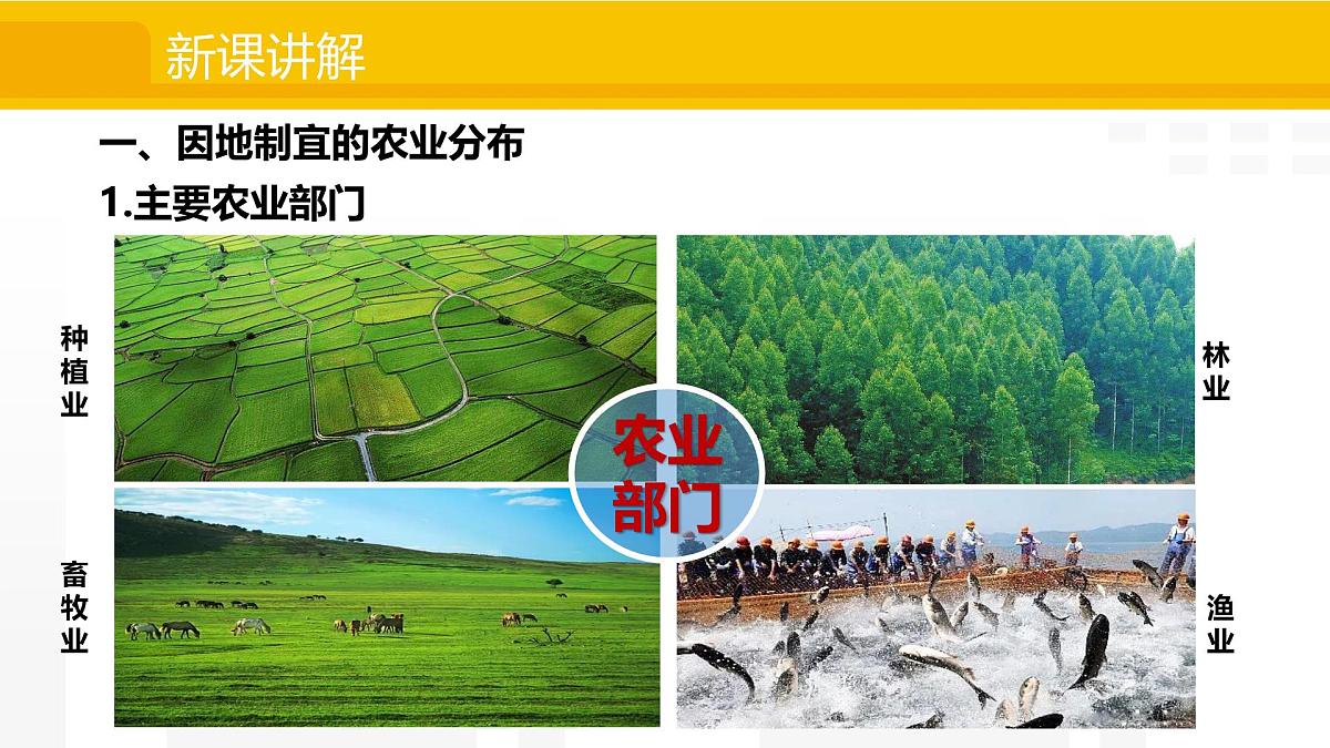4.1 农业 课件2025-2026学年度人教版地理八年级上册第5页