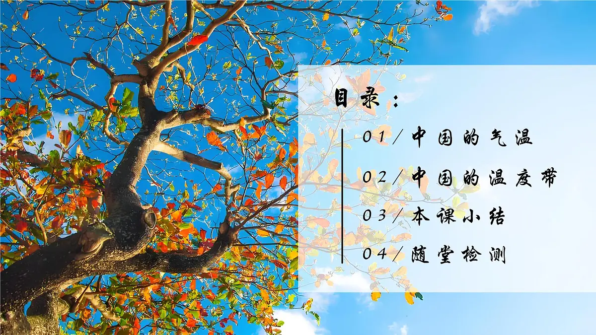 2.2.1中国的气候【课件】——2025新教材湘教版初二地理上册第4页