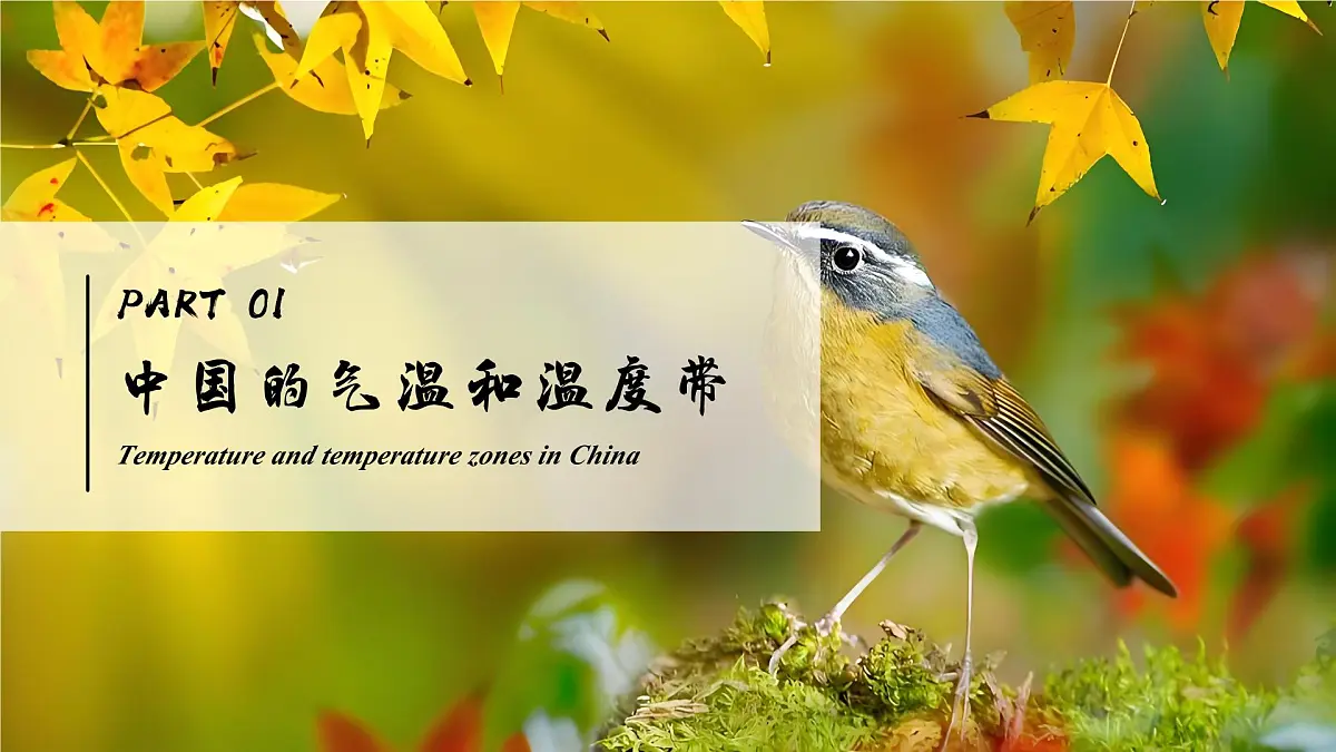 2.2.1中国的气候【课件】——2025新教材湘教版初二地理上册第7页
