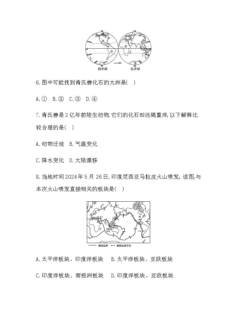 第四单元综合评价 - 学生版第3页