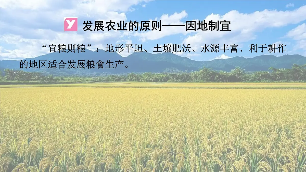 第2课时 因地制宜发展农业 走科技强农之路第8页