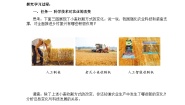 初中湘教版（2024）探究与实践 科学技术与我们的生活导学案