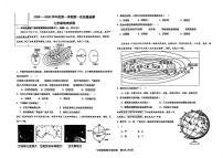 河北省廊坊市第四中学2025-2026学年七年级上学期10月月考地理试题