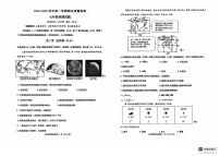 山东省青岛市城阳区2024-2025学年七年级上学期期末地理试卷