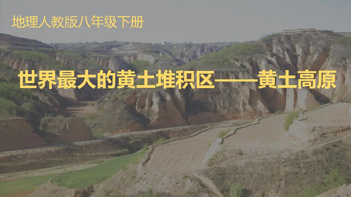 17826653第1页
