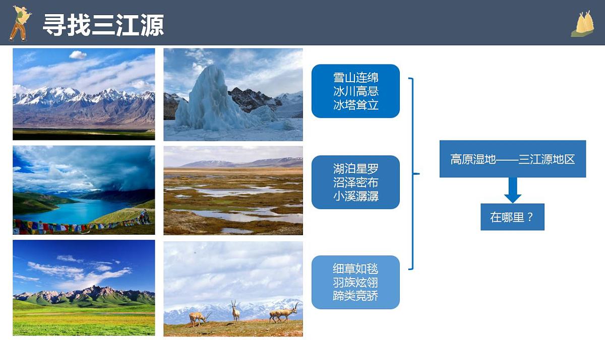 17827820第7页