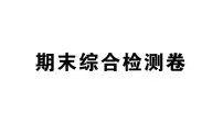 初中地理新湘教版八年级下册期末综合检测卷 作业课件（2026春）（放映显示答案）