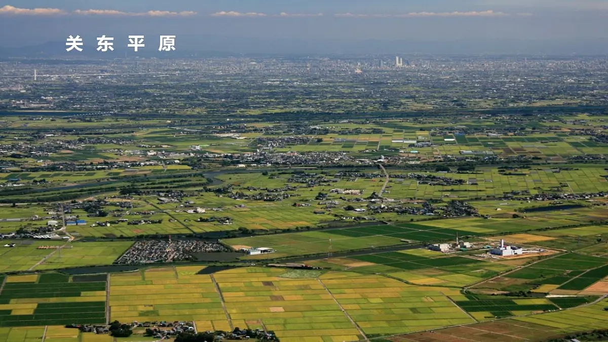 17844103第8页
