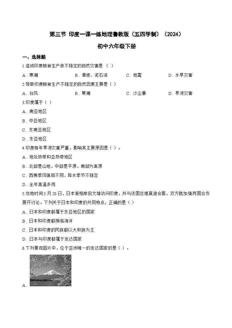 第三节 印度一课一练地理鲁教版(五四学制)(2024)初中六年级下册(无答案)第1页
